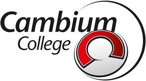 cambium